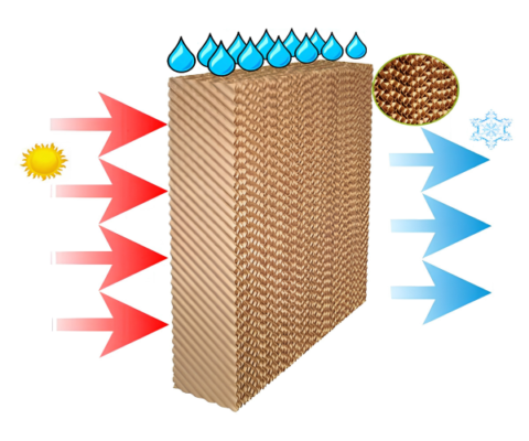 tấm cooling pad
